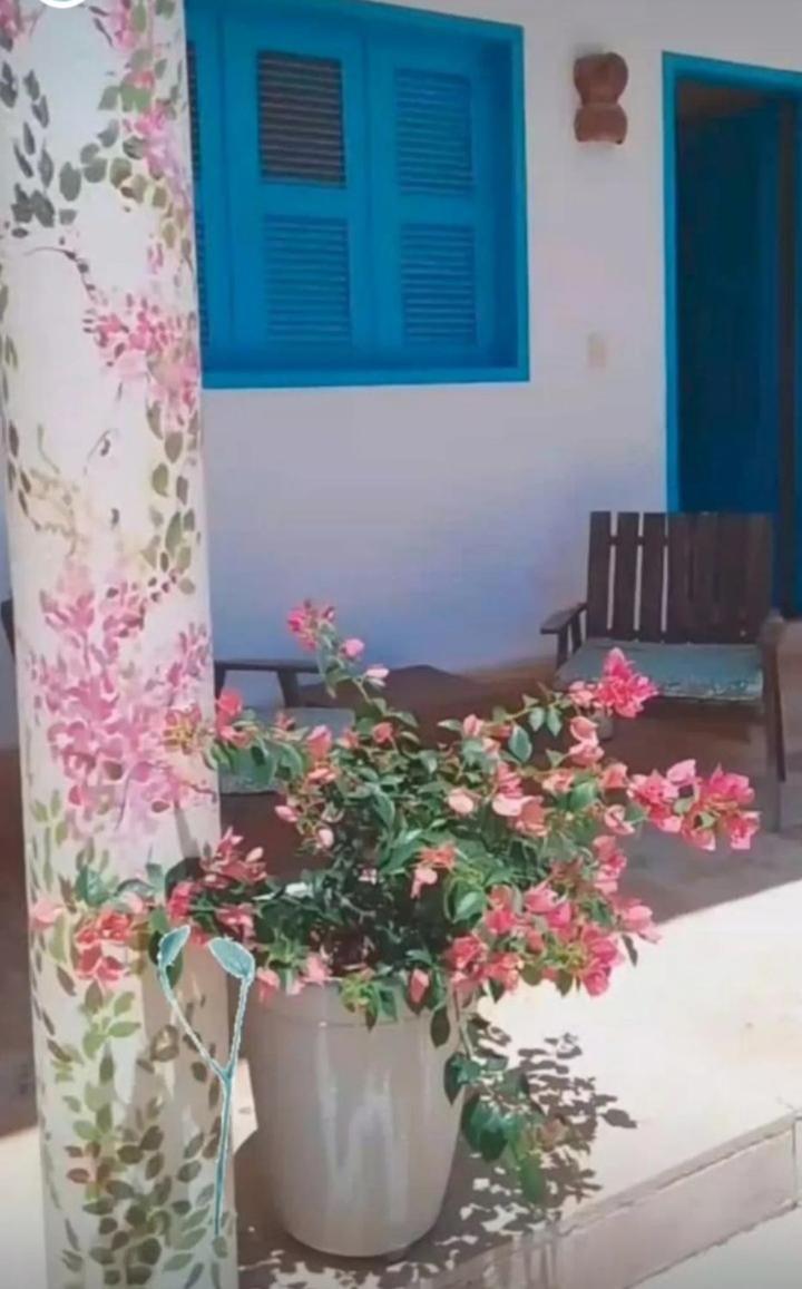 Recidencial Vila Pura Vida Canoa Quebrada Kültér fotó